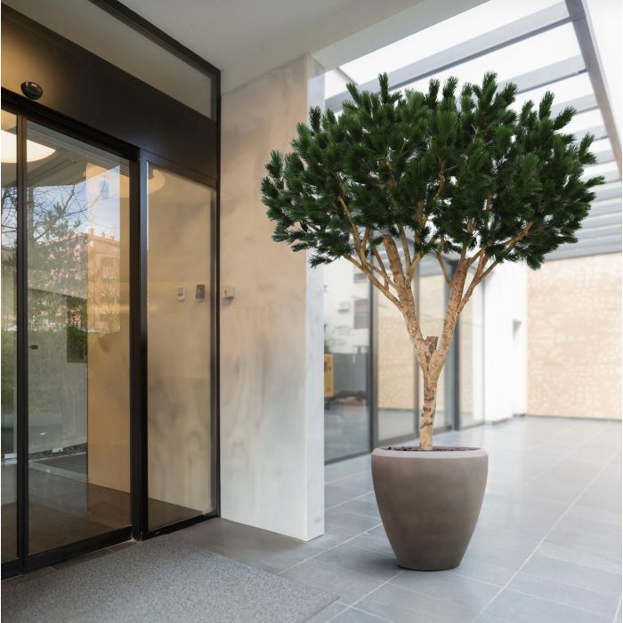 Pinus Umbrella XL Kunstboom Deluxe 260cm - afbeelding 9