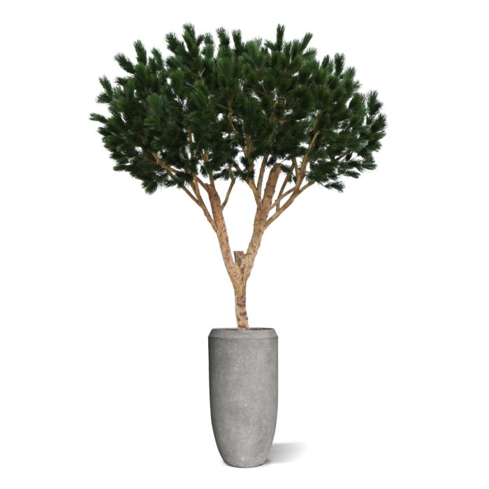 Pinus Umbrella XL Kunstboom Deluxe 260cm - afbeelding 3