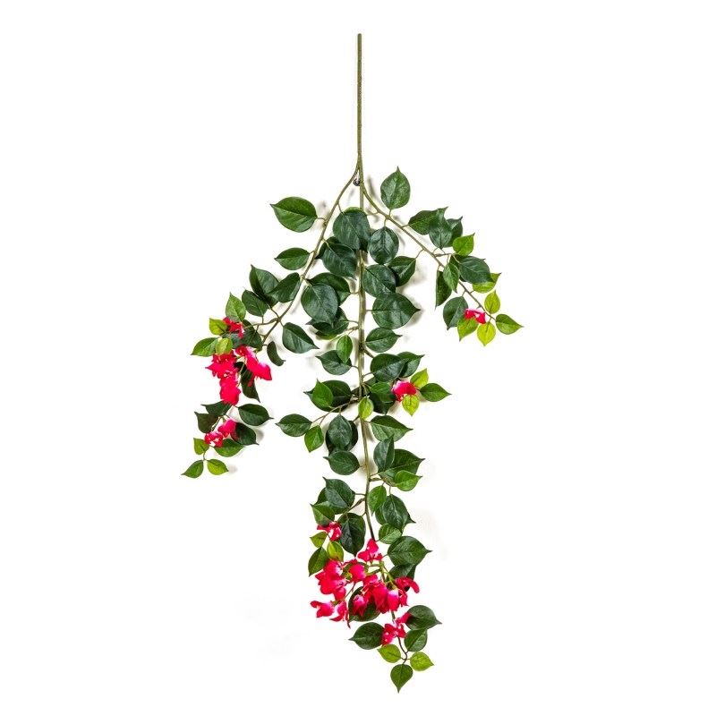 Bougainvillea spray