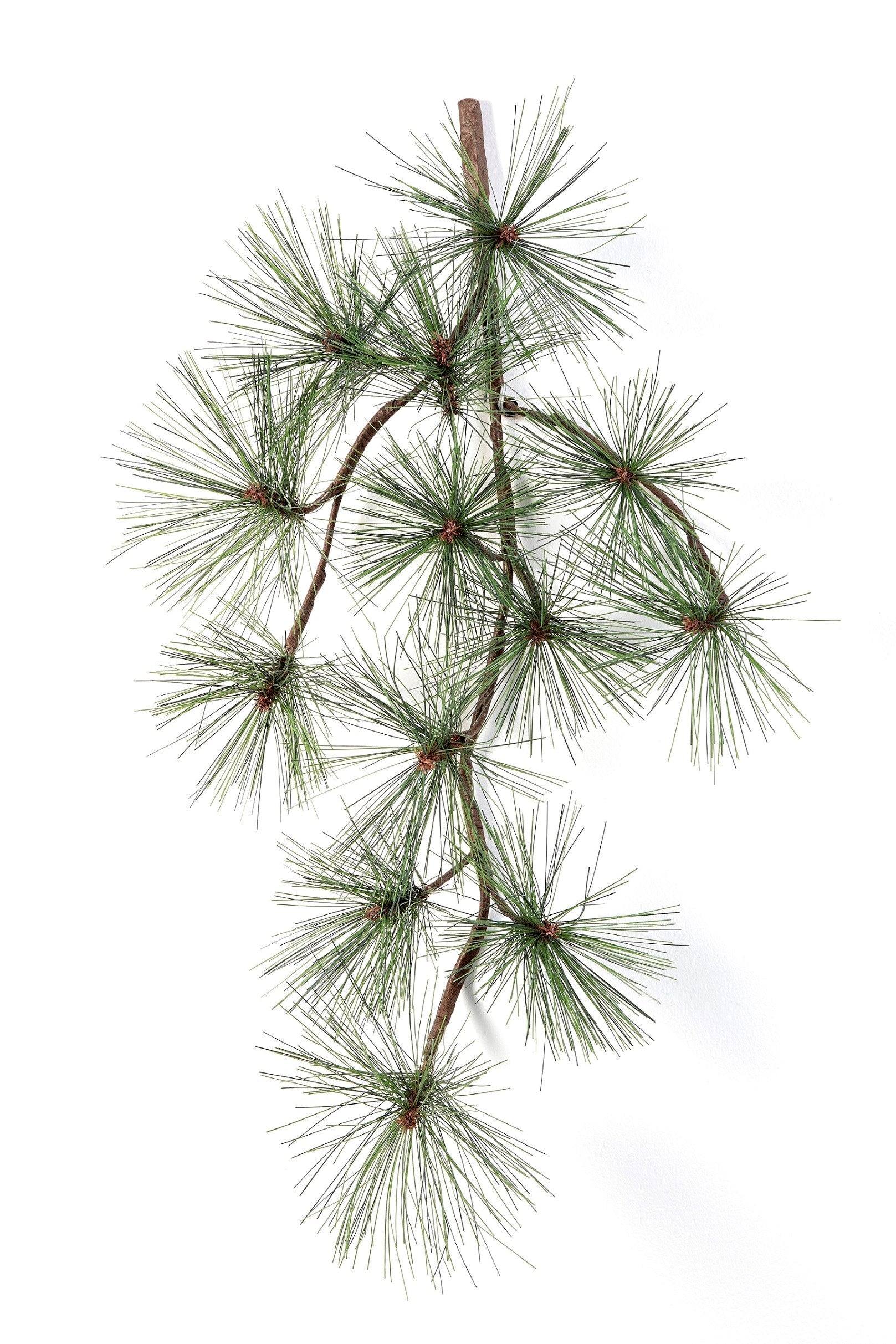 Pine Spray x 13
