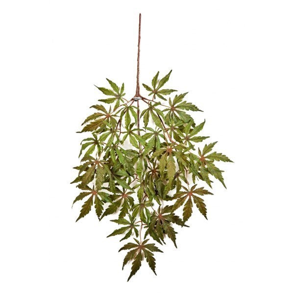 FR JAPANESE MAPLE SPRAY X 36