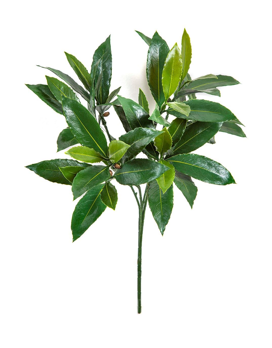 Laurel Spray x 55 Leaves -