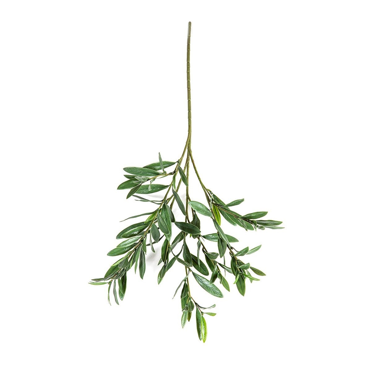 Olive Spray x 112 leaves - UV