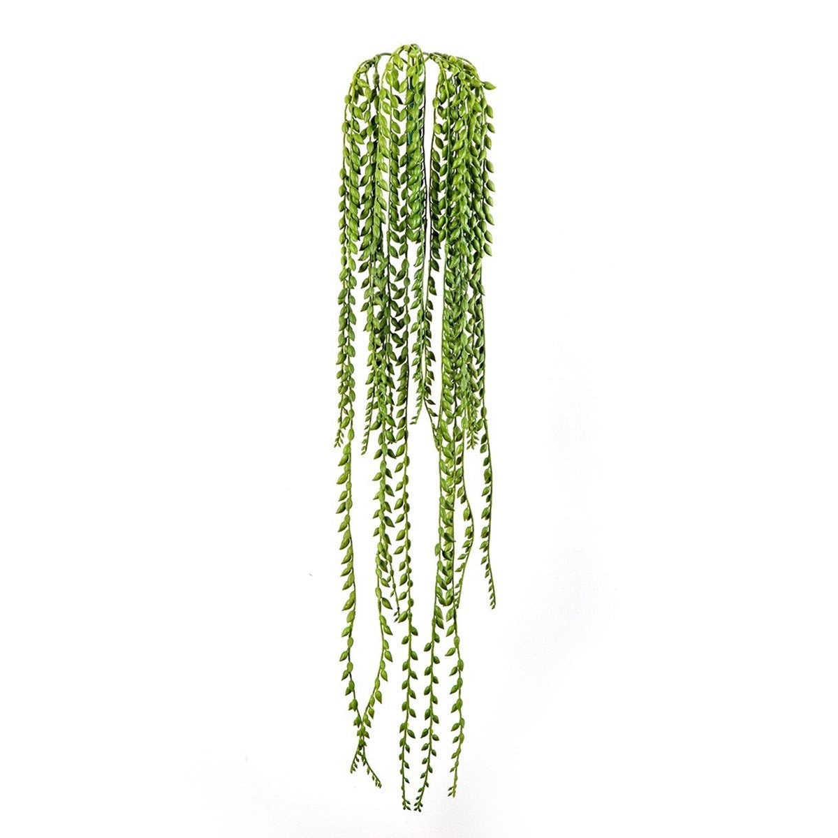 Flame Retardant Senecio Hanging Bush