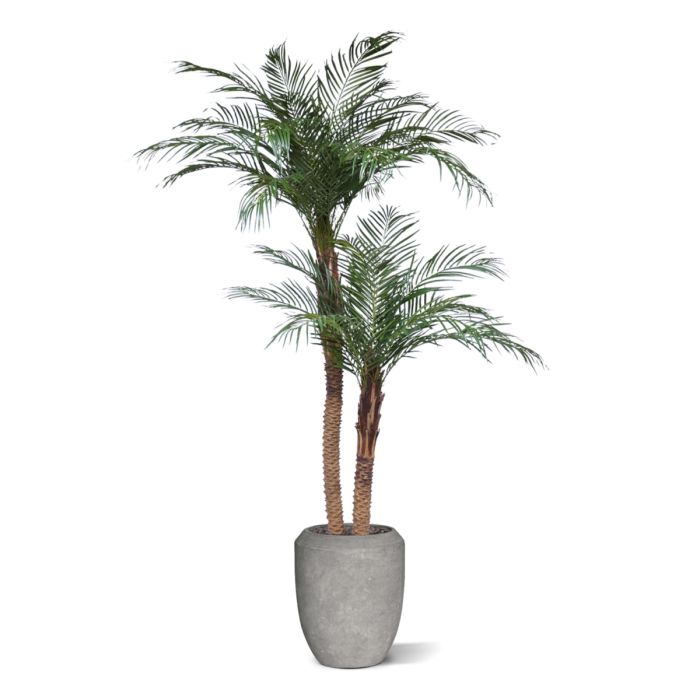 Phoenix Kunstpalm deluxe 225cm - afbeelding 8
