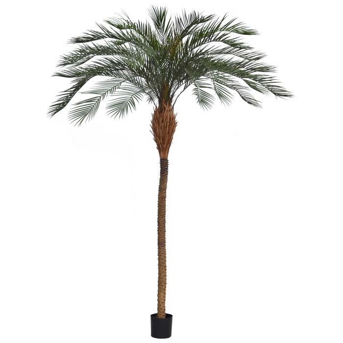 Phoenix kunstpalm deluxe OD 300cm