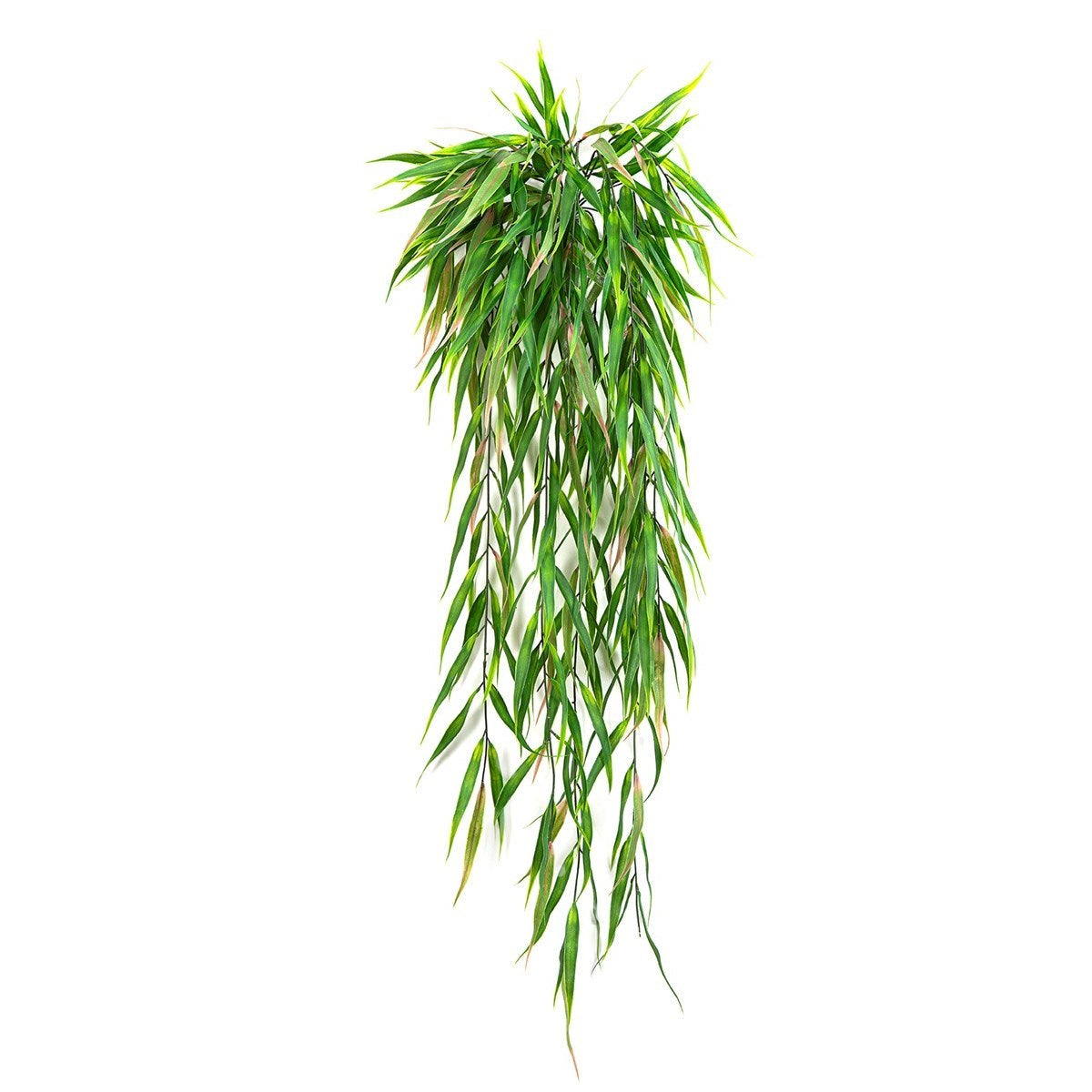 Eucalyptus Hanging Bush - UV