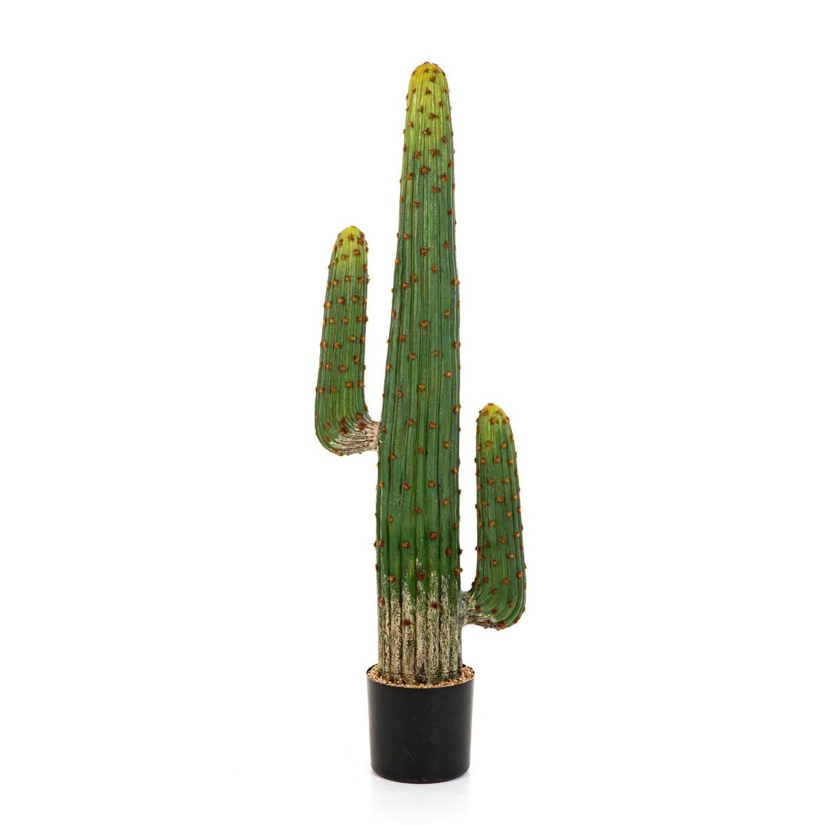 MEXICAN CACTUS 125 CM
