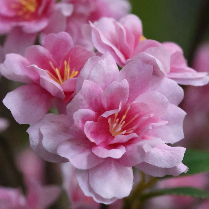 Bloesem Kunstboom 260cm roze - afbeelding 13