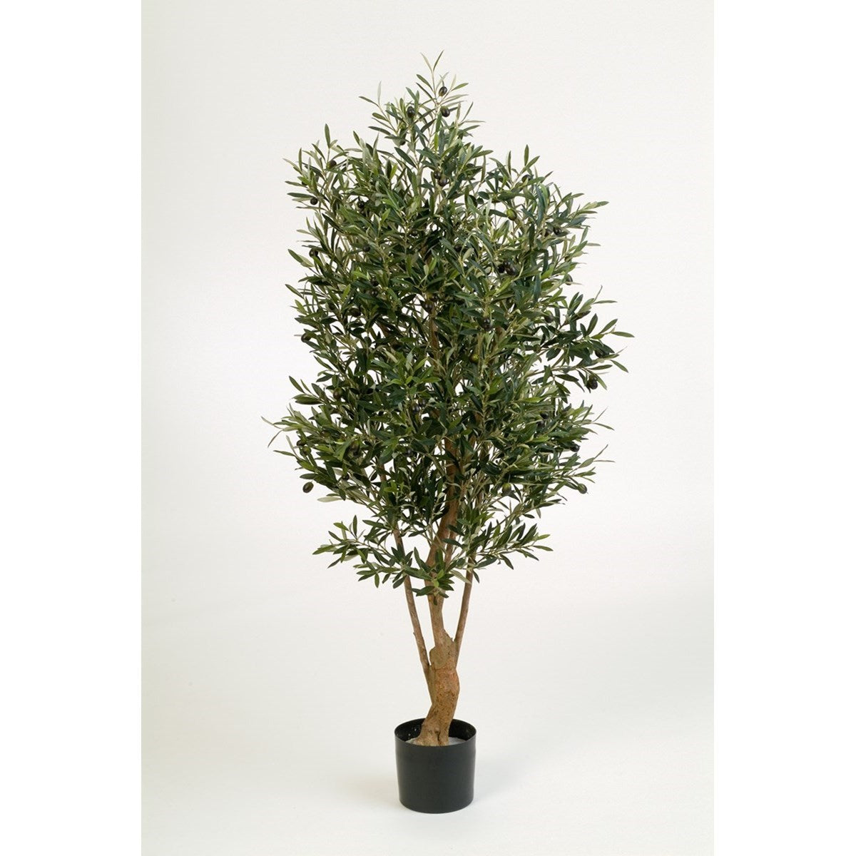 5' Flame Retardant Natural Twisted Olive Tree w/fruits