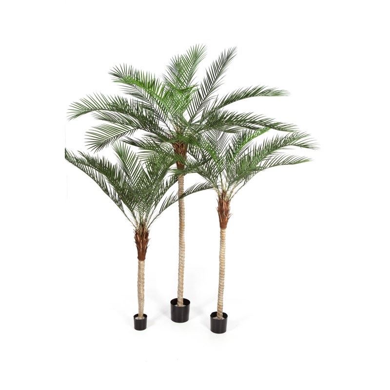 PHOENIX PALM WITH PLASTIC LEAF