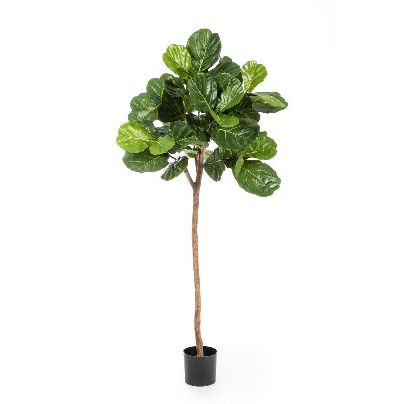 Ficus Lyrata Kunstbaum (einzelner Stamm)