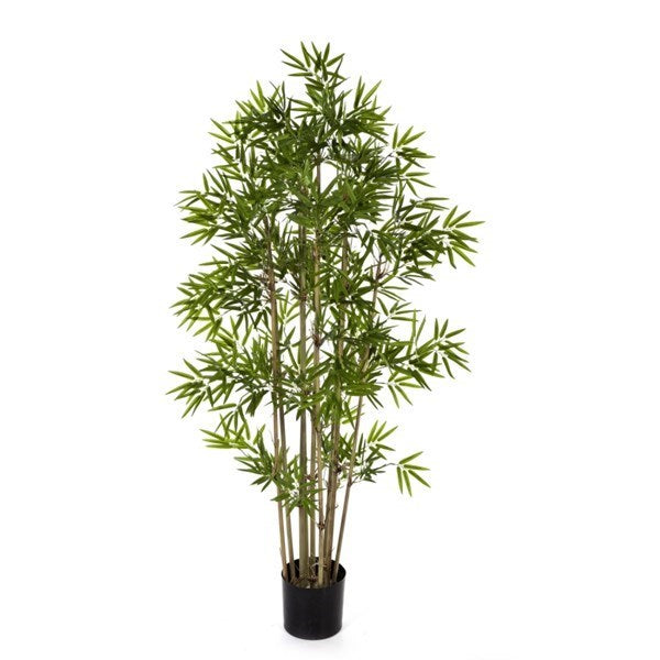 5' JAPANESE BAMBOO