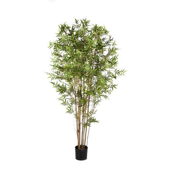 6' JAPANESE ORIENTAL BAMBOO