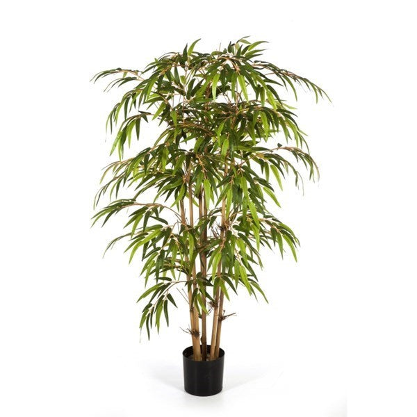 6' BAMBOO TREE
