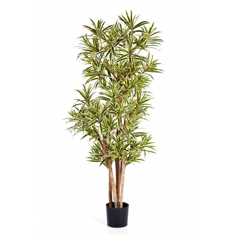 Dracaena Reflexa Kunstbaum - Schwer entflammbar