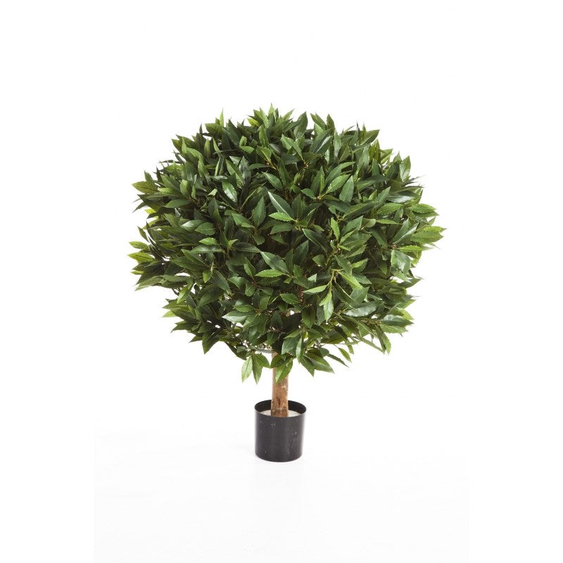 Laurel Ball Deluxe auf Holzstamm