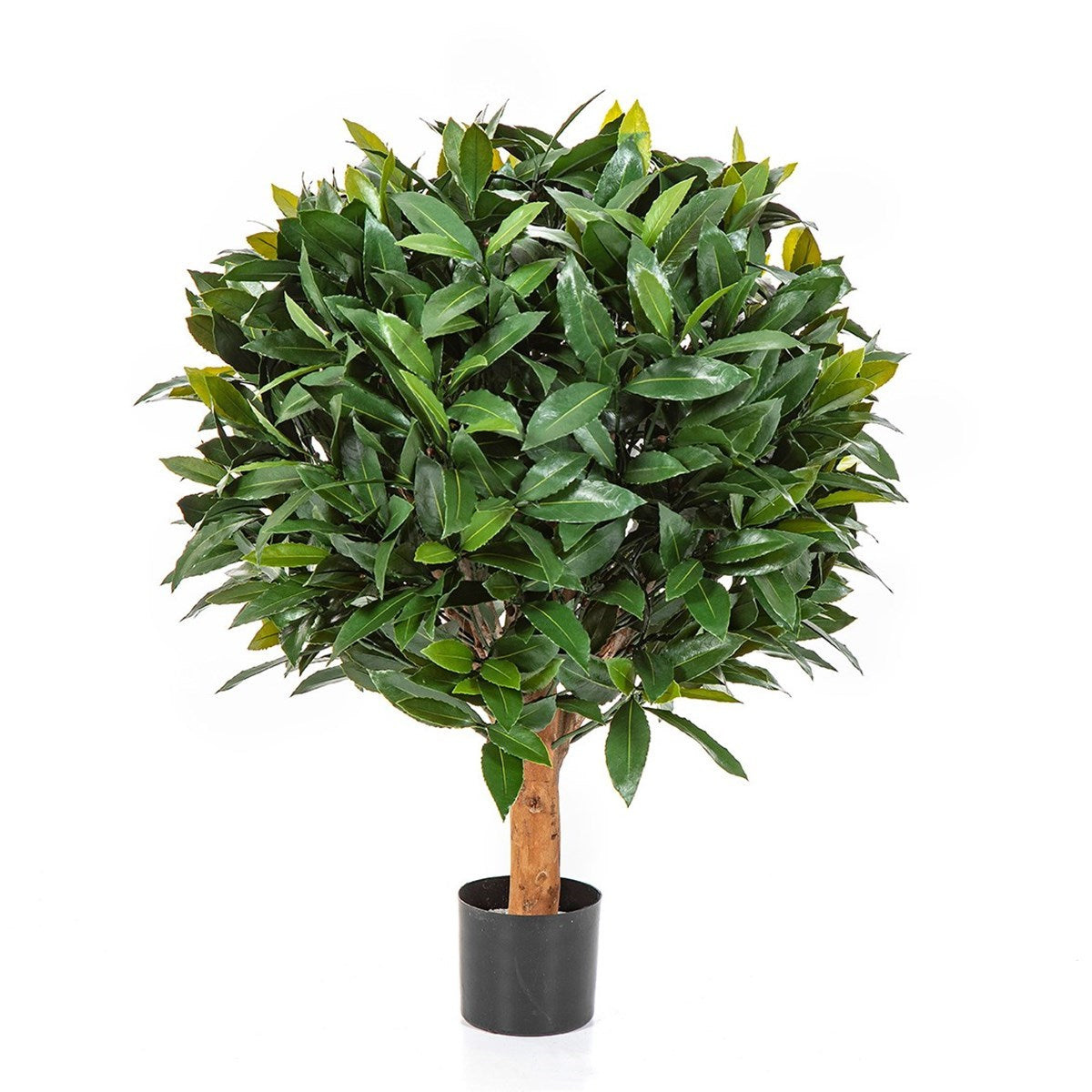 Laurel Ball 50 cm UV