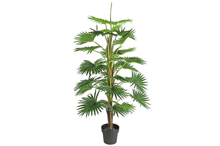 Kunstpflanze Washingtonia L grün-L70B70H150CM