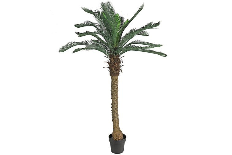 Kunstplant Cycas Revoluta groen-L75B75H170CM
