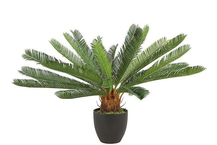 Kunstplant Cycas revoluta S groen-L65B65H72CM
