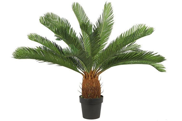 Kunstplant Cycas revoluta L groen-L80B80H93CM