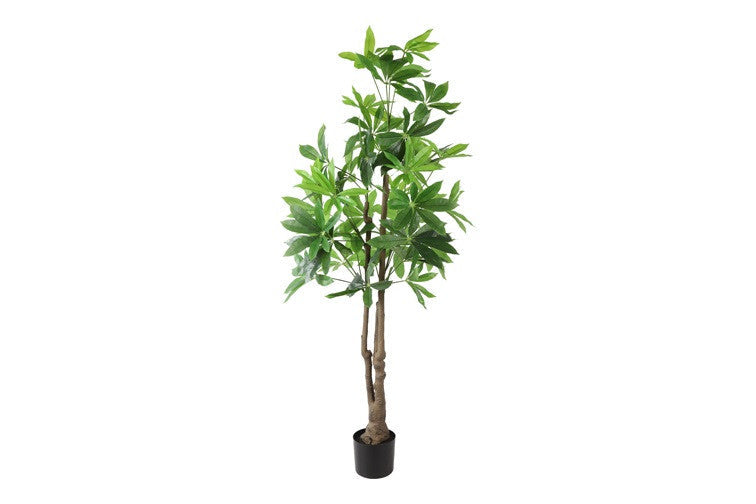 Kunstpflanze Pachira aquatica L grün-L80B80H160CM