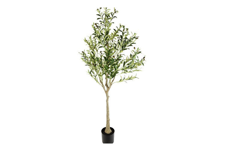 Kunstpflanze Olive Olea XXL grün-L140B140H180CM