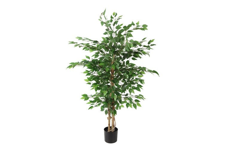 Kunstpflanze Ficus benjamina S grün-L110B110H150CM