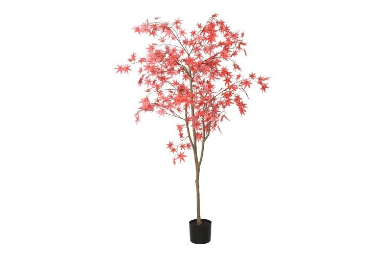 Kunstplant Acer L rood-L140B140H180CM