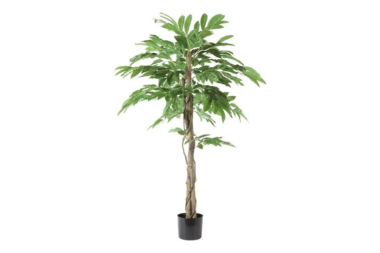 Kunstpflanze Mangifera indica S grün-L110B110H150CM