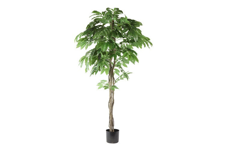 Kunstpflanze Mangifera indica L grün-L140B140H180CM