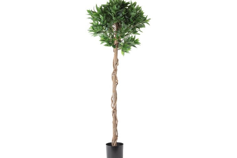 Kunstpflanze Laurus L grün-L110B110H150CM
