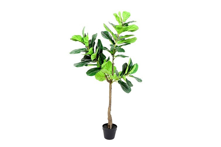 Kunstpflanze Ficus Sarian M grün-L75B75H140CM