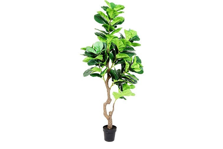 Kunstpflanze Ficus Sarian L grün-L90B90H180CM