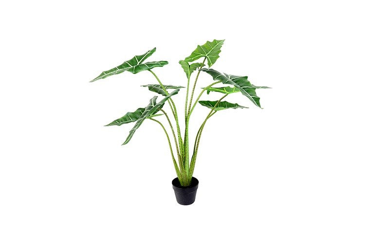 Kunstplant Alocasia Sarian L groen-L10B100H120CM
