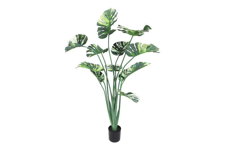 Kunstpflanze Monstera Variegata L grün-L120B120H160CM