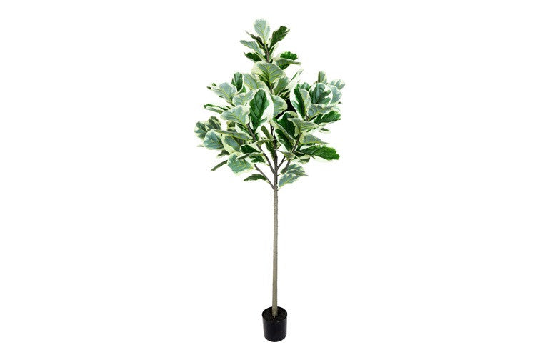 Kunstpflanze Ficus lyrata L grün-L130B130H190CM