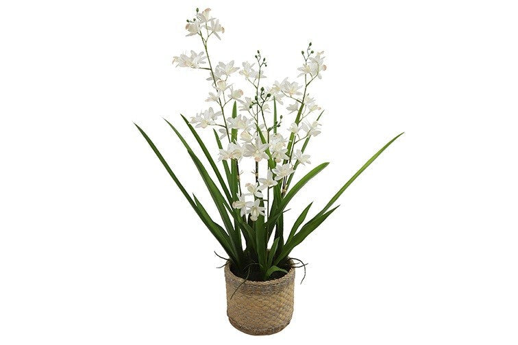 Kunstpflanze Phalaenopsis L weiß-L45B45H72CM