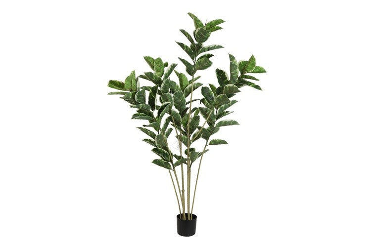 Kunstpflanze Ficus elastica 'Tineke' M grün-L55B75H155CM
