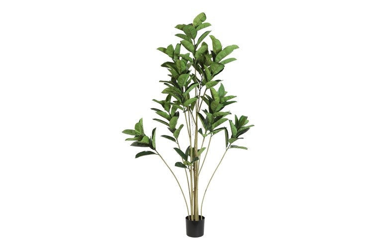Kunstpflanze Ficus elastica L grün-L75B75H180CM