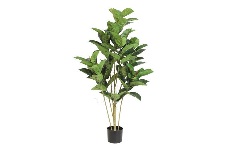Kunstpflanze Ficus elastica S grün-L66B40H120CM