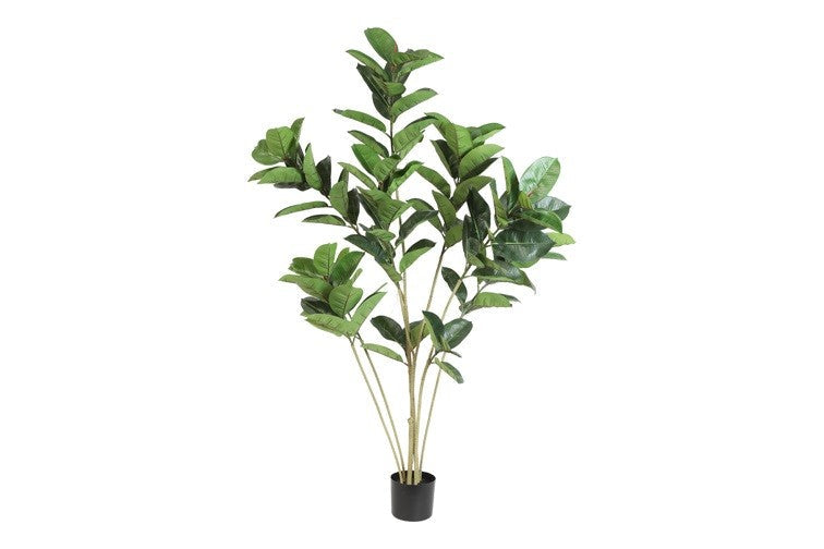 Kunstpflanze Ficus elastica M grün-L63B42H155CM