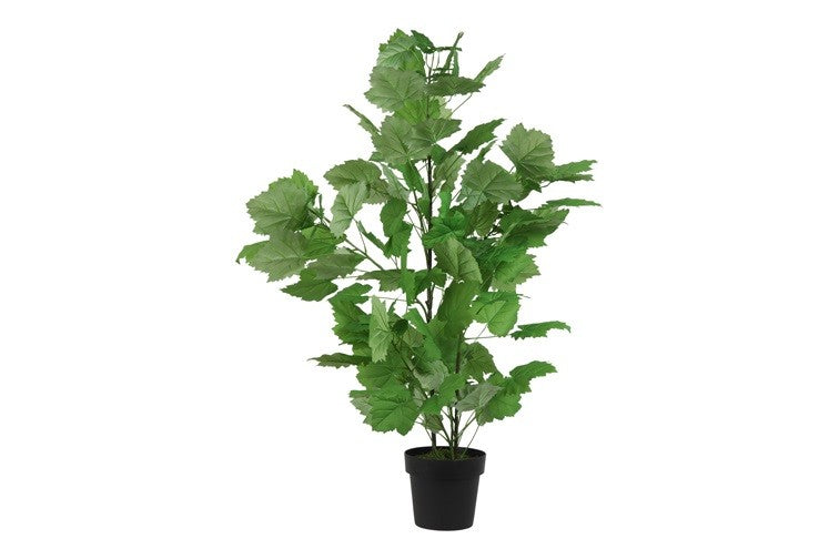 Kunstpflanze Sparrmannia africana XL grün-L70B70H120CM