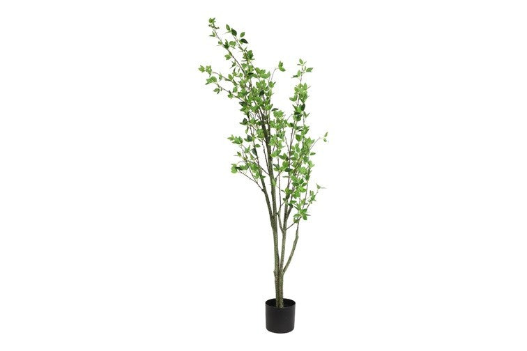 Kunstpflanze Prunus L grün-L69B20H190CM