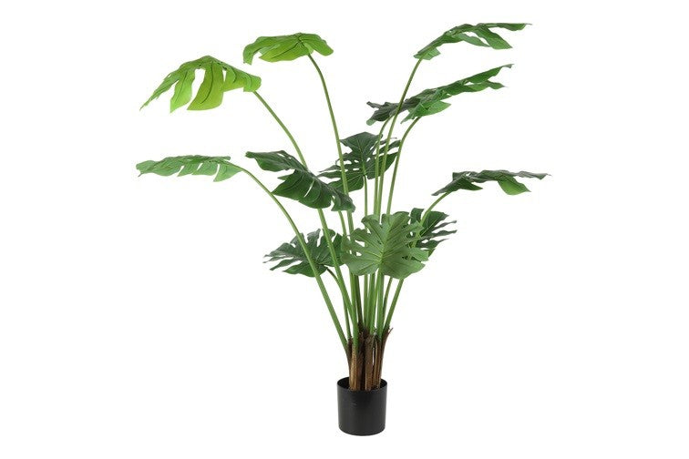 Kunstpflanze Monstera XL grün-L103B43H180CM