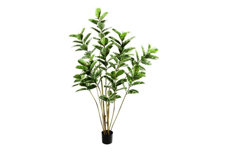 Kunstpflanze Ficus elastica 'Tineke' L grün-L75B75H180CM