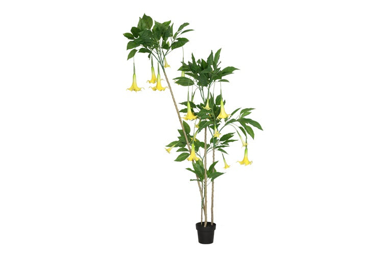 Art plant Datura L yellow-L110B60H200CM