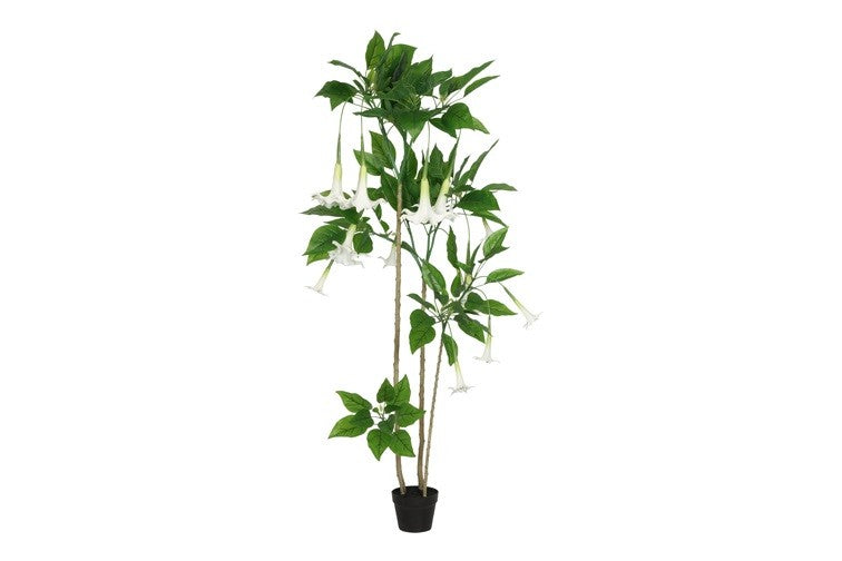 Kunstpflanze Datura S weiß-L93B48H180CM