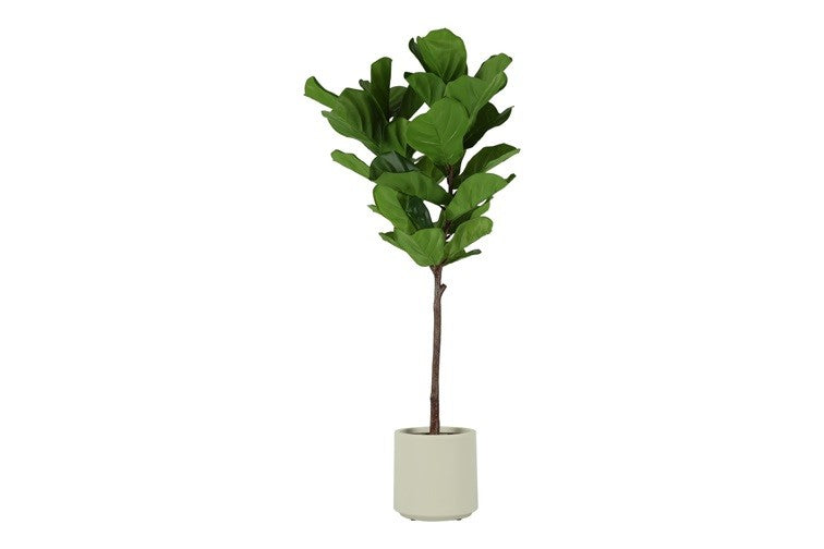 Kunstpflanze Ficus lyrata S grün-L65B44H130CM